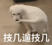 技几遛技几
