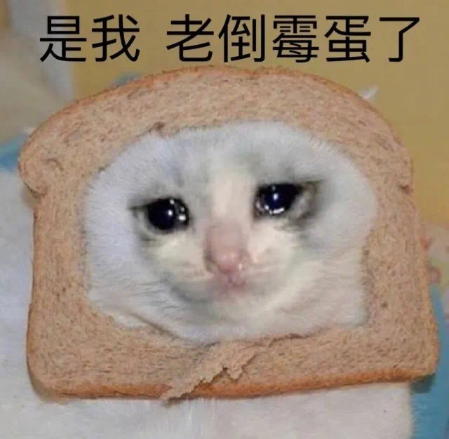 是我老倒霉蛋了