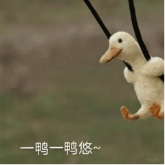 咿呀咿呀哟 一鸭一鸭悠