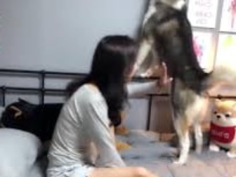 身材优秀蒋女士带爱犬去看病却遭受欺骗和辱骂