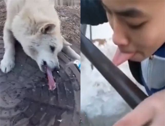 轻松一刻:年度大猎奇!村书记竟爱上了喷水机? 轻松一刻:年度大猎奇!村书记竟爱上了喷水机?