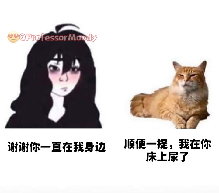 轻松一刻：年度大猎奇！村书记竟爱上了喷水机？