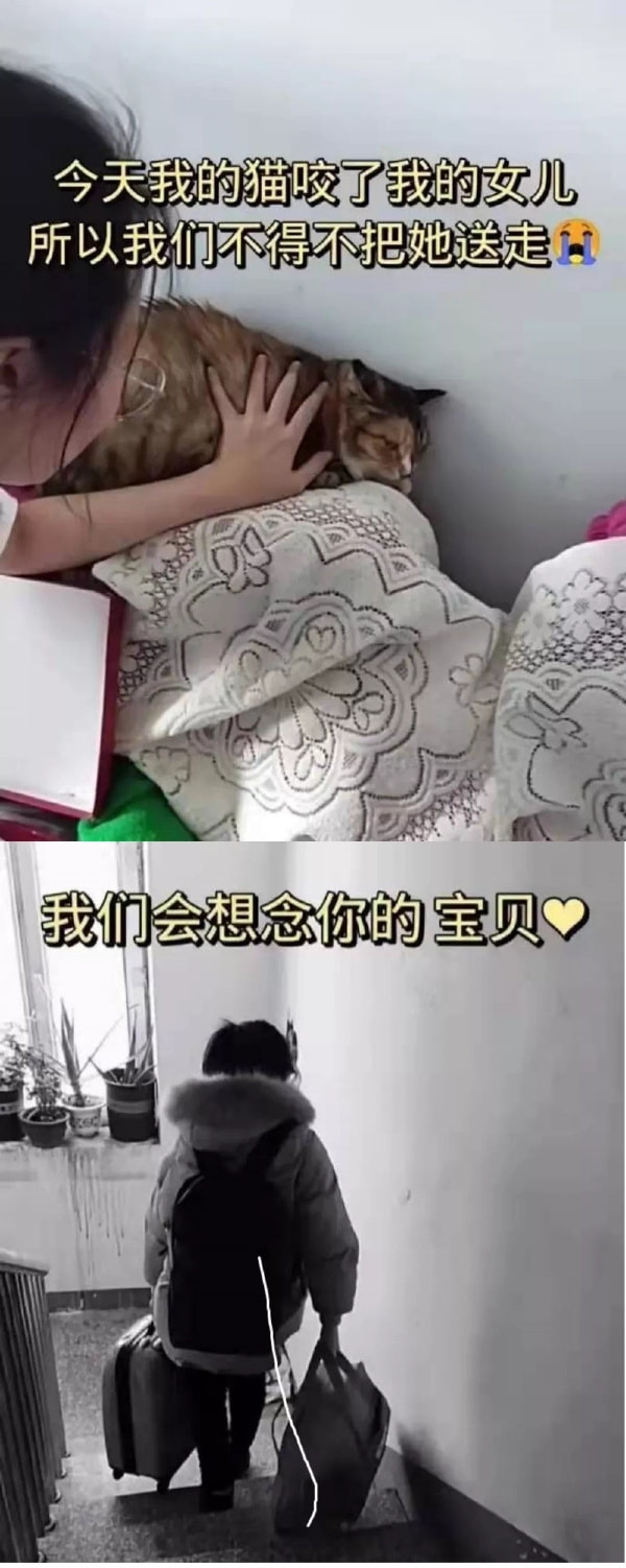 轻松一刻:年度大猎奇!村书记竟爱上了喷水机? 轻松一刻:年度大猎奇!村书记竟爱上了喷水机?