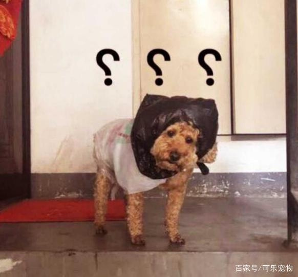 轻松一刻:年度大猎奇!村书记竟爱上了喷水机? 轻松一刻:年度大猎奇!村书记竟爱上了喷水机?