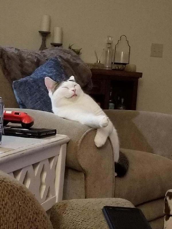 轻松一刻:年度大猎奇!村书记竟爱上了喷水机? 轻松一刻:年度大猎奇!村书记竟爱上了喷水机?