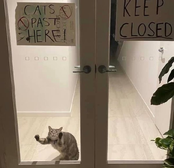 轻松一刻:年度大猎奇!村书记竟爱上了喷水机? 轻松一刻:年度大猎奇!村书记竟爱上了喷水机?