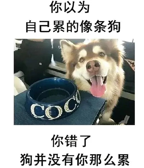 轻松一刻:年度大猎奇!村书记竟爱上了喷水机? 轻松一刻:年度大猎奇!村书记竟爱上了喷水机?