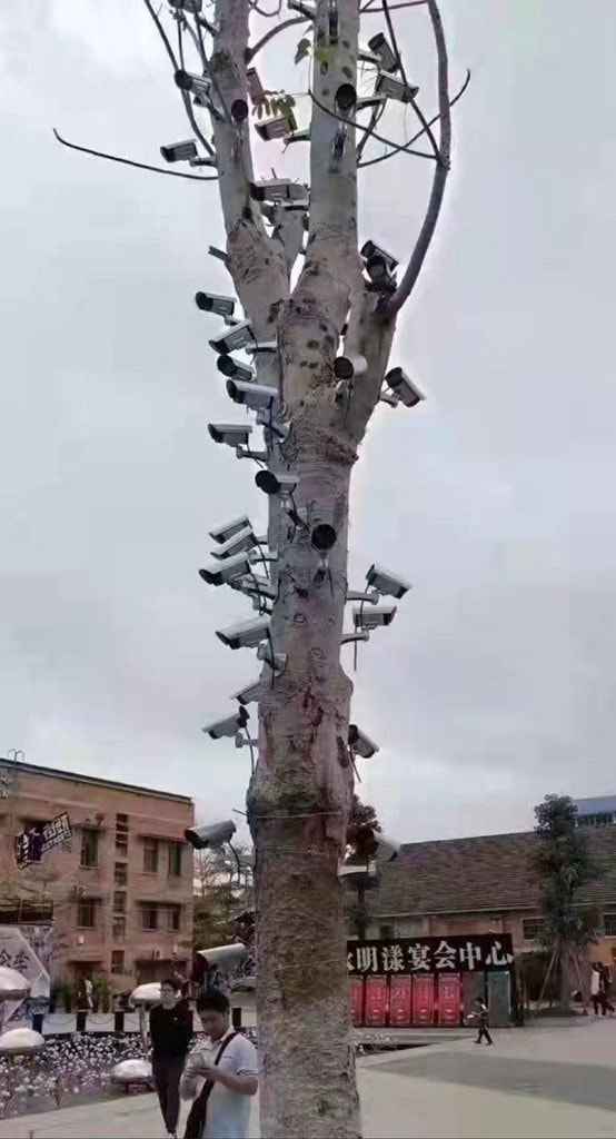 轻松一刻:年度大猎奇!村书记竟爱上了喷水机? 轻松一刻:年度大猎奇!村书记竟爱上了喷水机?