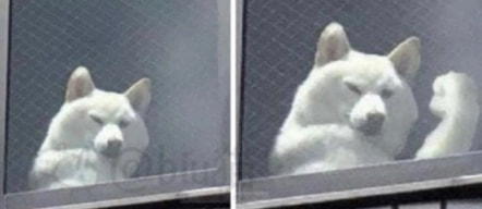 轻松一刻:年度大猎奇!村书记竟爱上了喷水机? 轻松一刻:年度大猎奇!村书记竟爱上了喷水机?