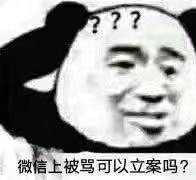 微信上被骂可以立案吗?