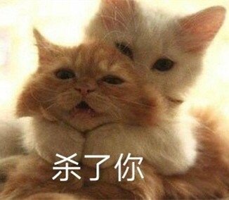 猫咪表情包  杀了你