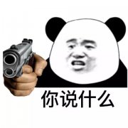 你说什么 熊猫头表情包