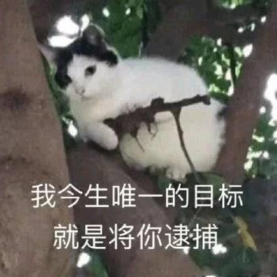 轻松一刻:单身久了,看什么都像美女 轻松一刻:单身久了,看什么都像美女