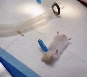 轻松一刻:单身久了,看什么都像美女 轻松一刻:单身久了,看什么都像美女