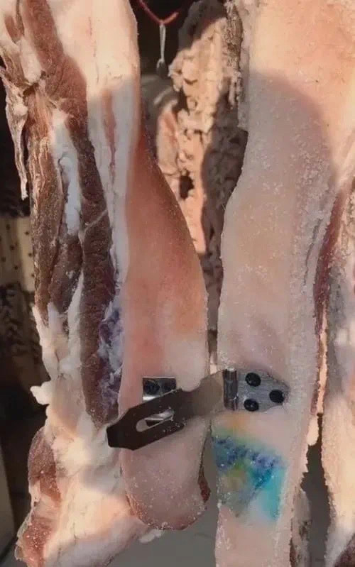 轻松一刻:单身久了,看什么都像美女 轻松一刻:单身久了,看什么都像美女