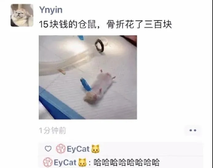 轻松一刻:单身久了,看什么都像美女 轻松一刻:单身久了,看什么都像美女