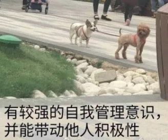 轻松一刻:单身久了,看什么都像美女 轻松一刻:单身久了,看什么都像美女