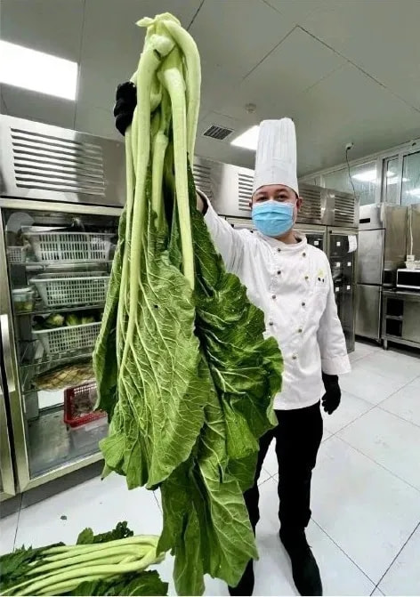 轻松一刻:单身久了,看什么都像美女 轻松一刻:单身久了,看什么都像美女