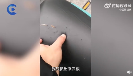 轻松一刻:单身久了,看什么都像美女 轻松一刻:单身久了,看什么都像美女