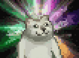 憨憨猫 GIF（mur猫表情包）