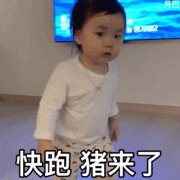 快跑，猪来了