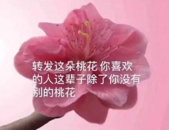 转发这朵桃花你喜欢的人这辈子除了你没有别的桃花