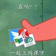 在吗？！一起上网课呀