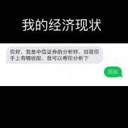 我的经济现状：你好 我是证券的分析师，目前你手上有哪些股，我可以帮你分析下 屁股