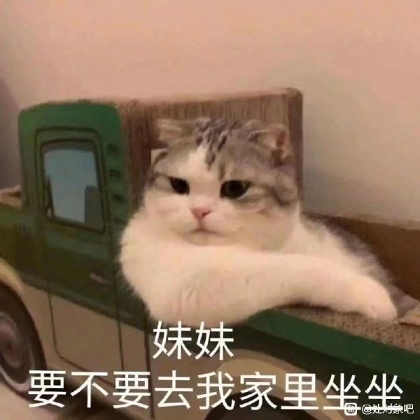 轻松一刻:那是两颗西瓜吗?远远看着那么大! 轻松一刻:那是两颗西瓜吗?远远看着那么大!