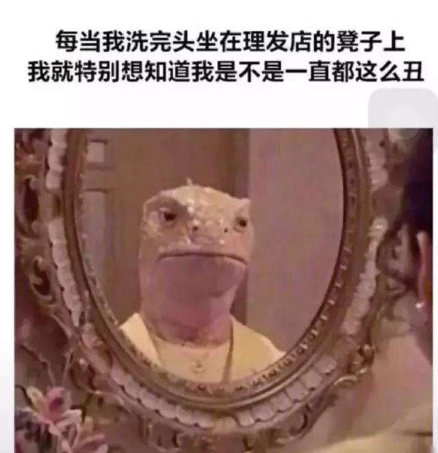 轻松一刻:那是两颗西瓜吗?远远看着那么大! 轻松一刻:那是两颗西瓜吗?远远看着那么大!