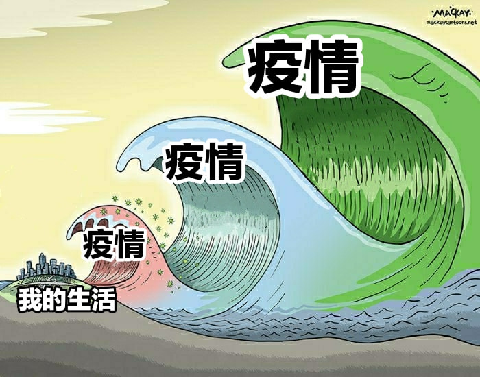 轻松一刻:那是两颗西瓜吗?远远看着那么大! 轻松一刻:那是两颗西瓜吗?远远看着那么大!