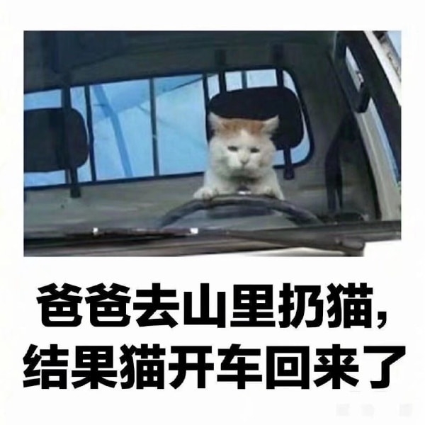 轻松一刻:那是两颗西瓜吗?远远看着那么大! 轻松一刻:那是两颗西瓜吗?远远看着那么大!