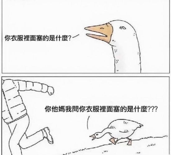 轻松一刻:那是两颗西瓜吗?远远看着那么大! 轻松一刻:那是两颗西瓜吗?远远看着那么大!