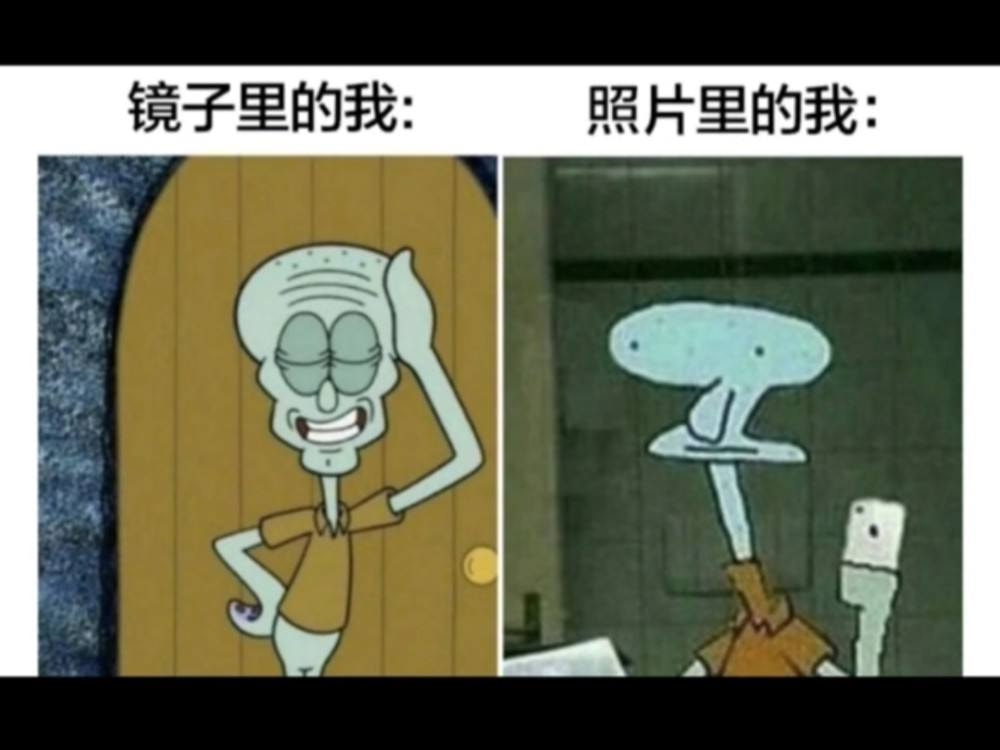 轻松一刻：那是两颗西瓜吗？远远看着那么大！