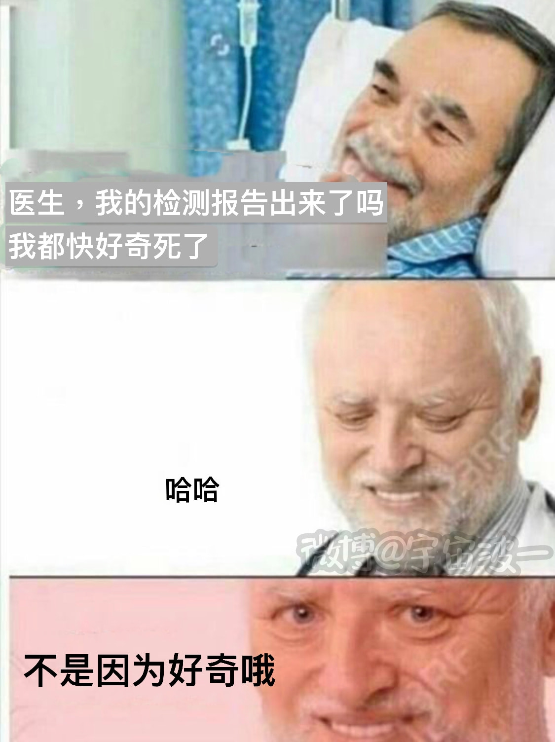 轻松一刻:那是两颗西瓜吗?远远看着那么大! 轻松一刻:那是两颗西瓜吗?远远看着那么大!