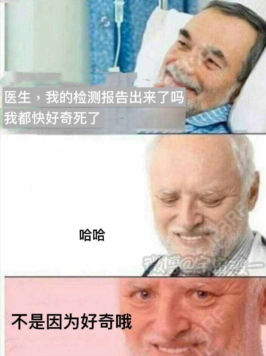 轻松一刻：那是两颗西瓜吗？远远看着那么大！