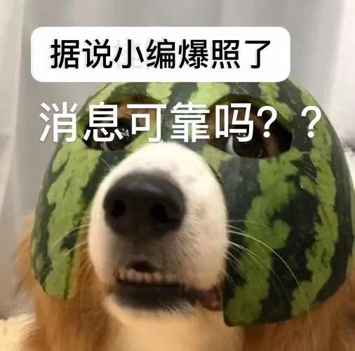 轻松一刻:那是两颗西瓜吗?远远看着那么大! 轻松一刻:那是两颗西瓜吗?远远看着那么大!