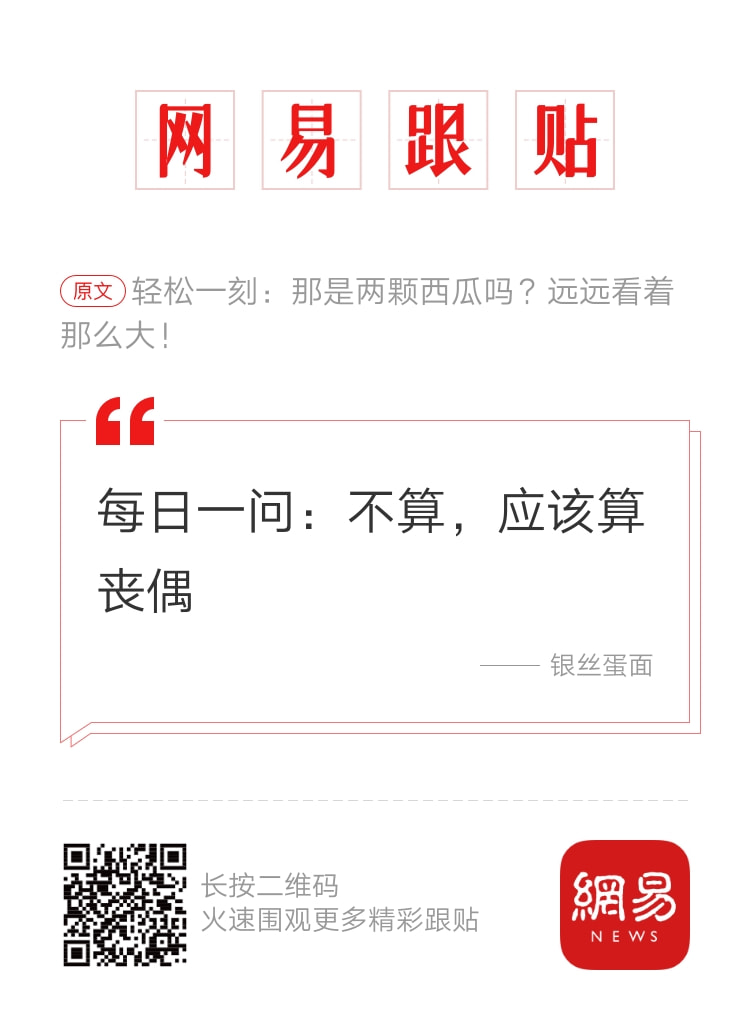 轻松一刻午间版:做鸡很难,但你以为做鸭就容易吗? 轻松一刻午间版:做鸡很难,但你以为做鸭就容易吗?