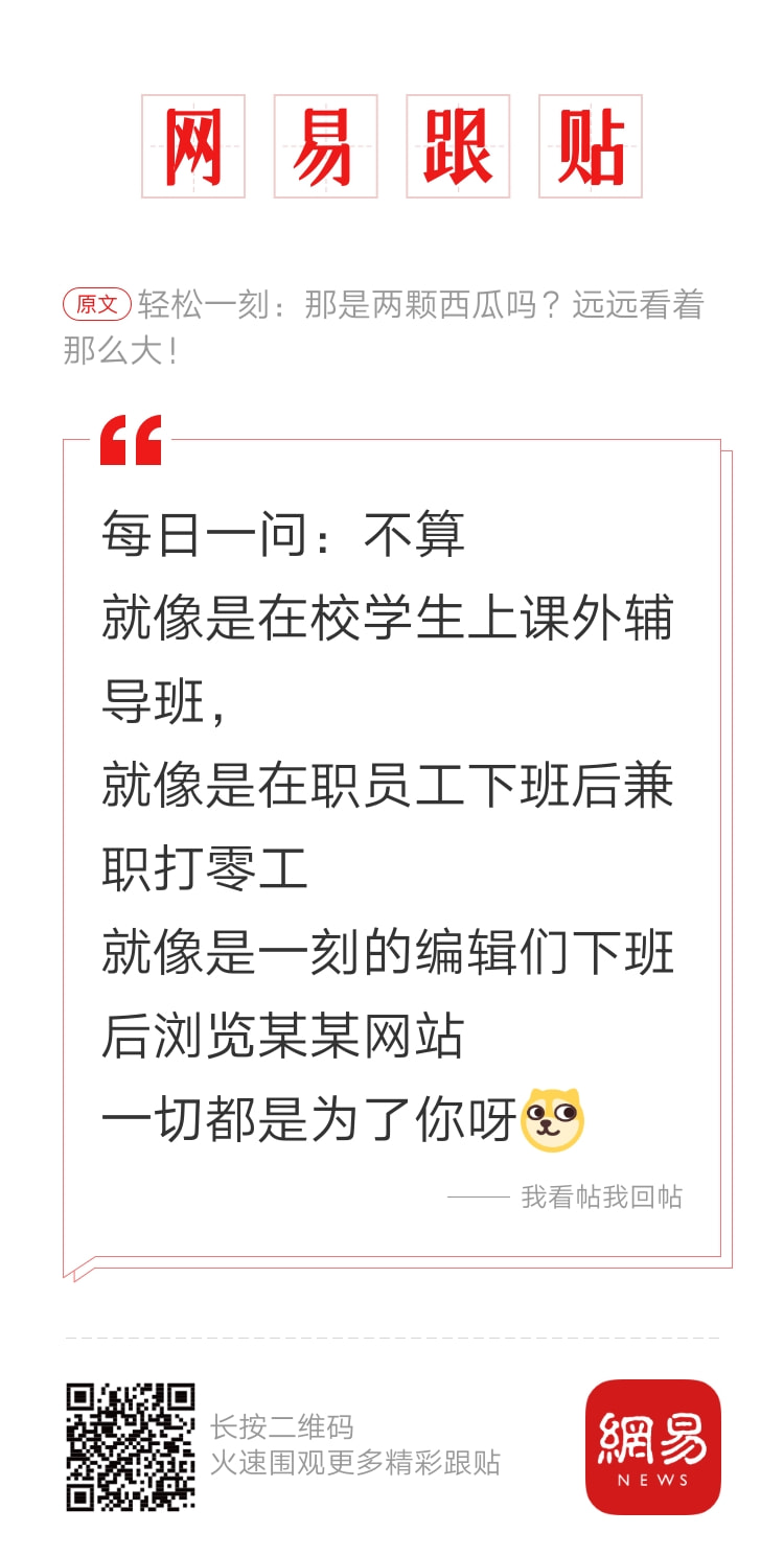 轻松一刻午间版:做鸡很难,但你以为做鸭就容易吗? 轻松一刻午间版:做鸡很难,但你以为做鸭就容易吗?