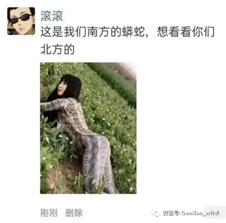 轻松一刻午间版:做鸡很难,但你以为做鸭就容易吗? 轻松一刻午间版:做鸡很难,但你以为做鸭就容易吗?