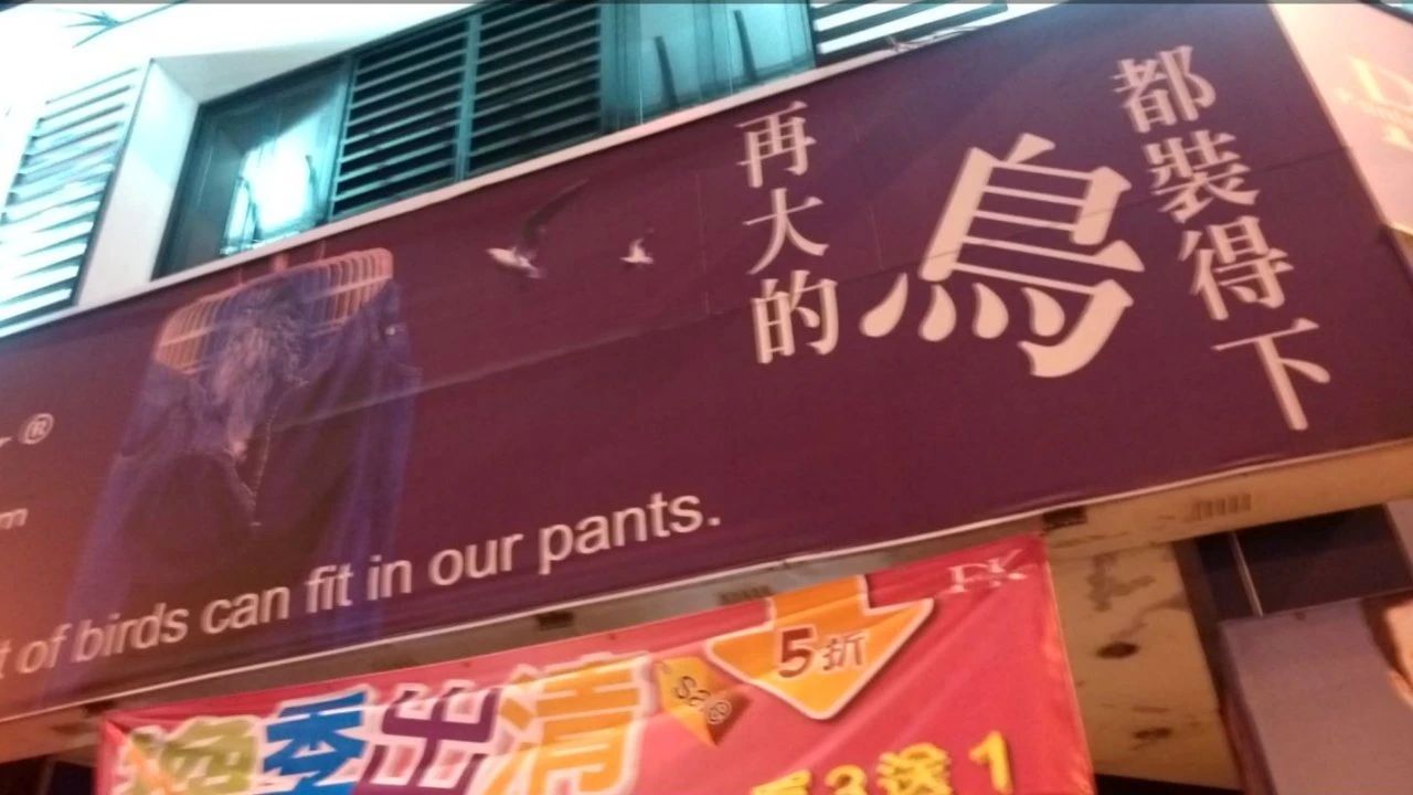轻松一刻午间版:做鸡很难,但你以为做鸭就容易吗? 轻松一刻午间版:做鸡很难,但你以为做鸭就容易吗?