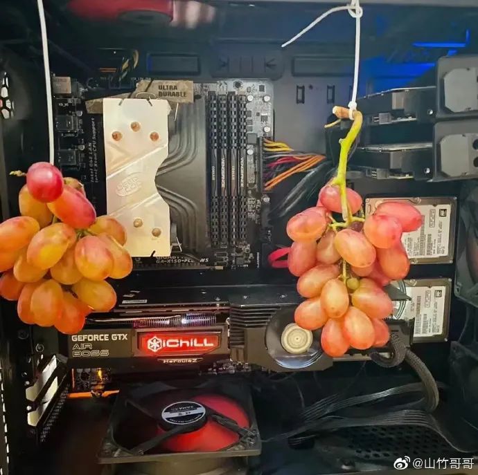 轻松一刻午间版:做鸡很难,但你以为做鸭就容易吗? 轻松一刻午间版:做鸡很难,但你以为做鸭就容易吗?