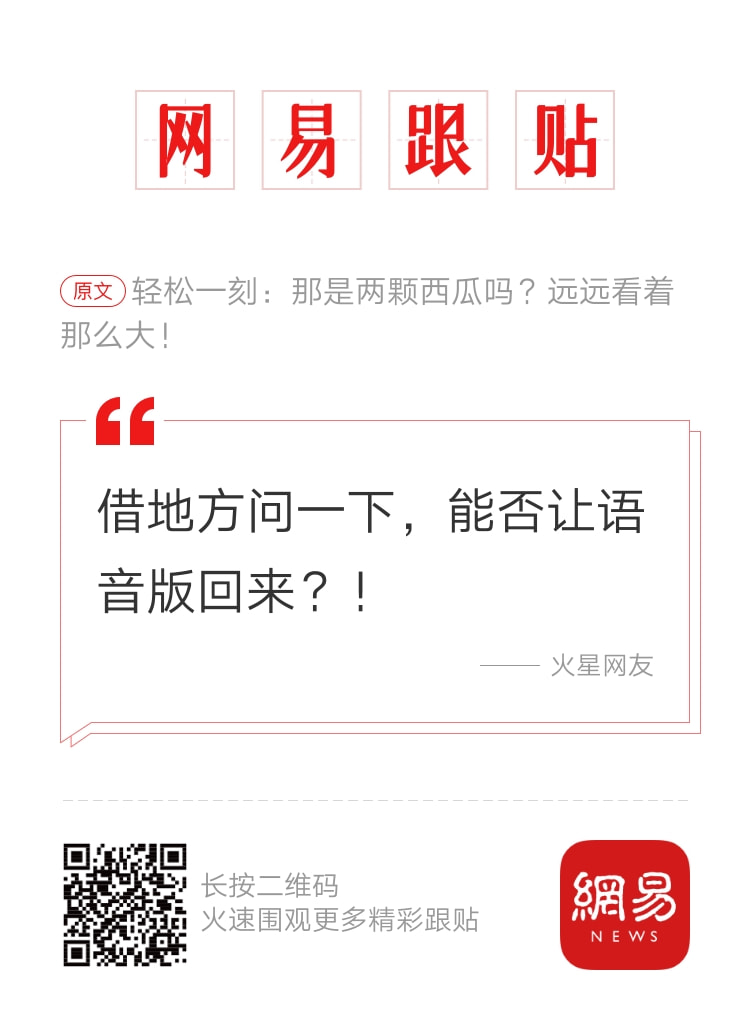 轻松一刻午间版:做鸡很难,但你以为做鸭就容易吗? 轻松一刻午间版:做鸡很难,但你以为做鸭就容易吗?