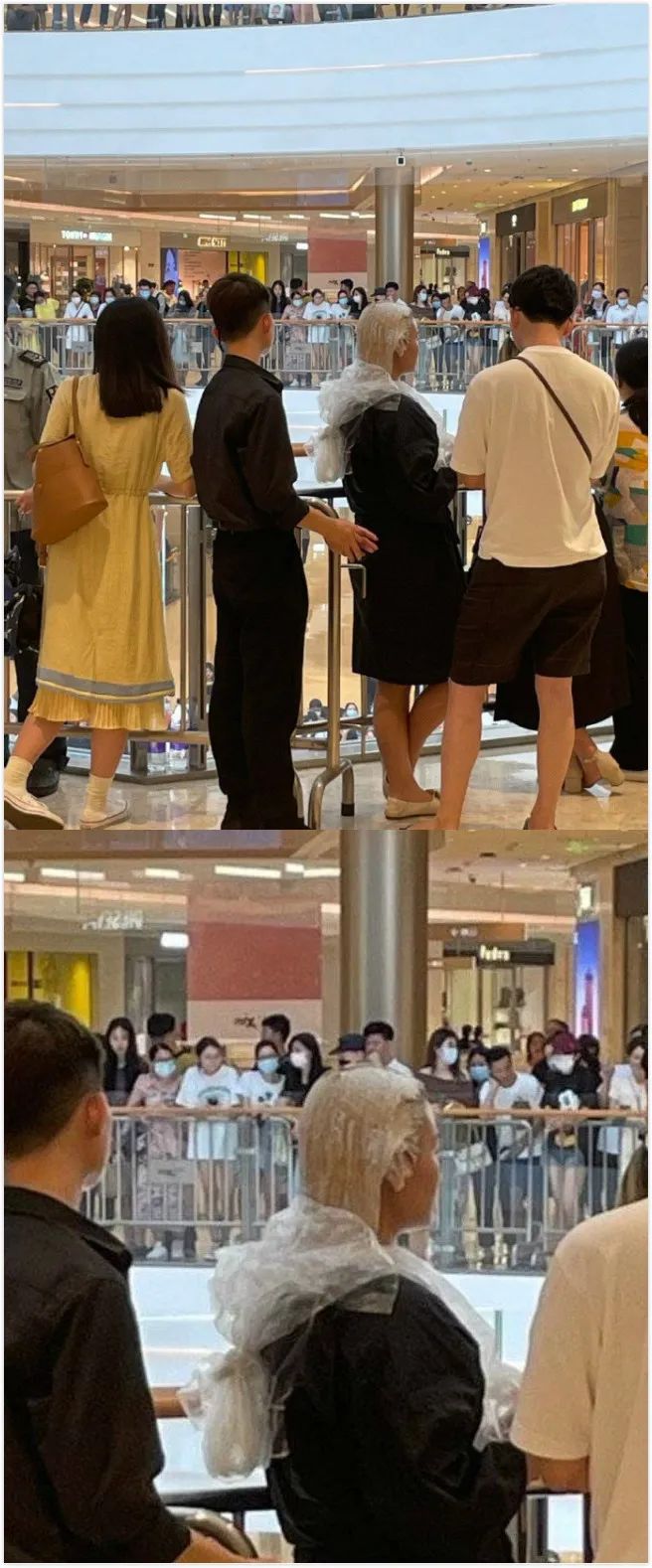 轻松一刻午间版:做鸡很难,但你以为做鸭就容易吗? 轻松一刻午间版:做鸡很难,但你以为做鸭就容易吗?