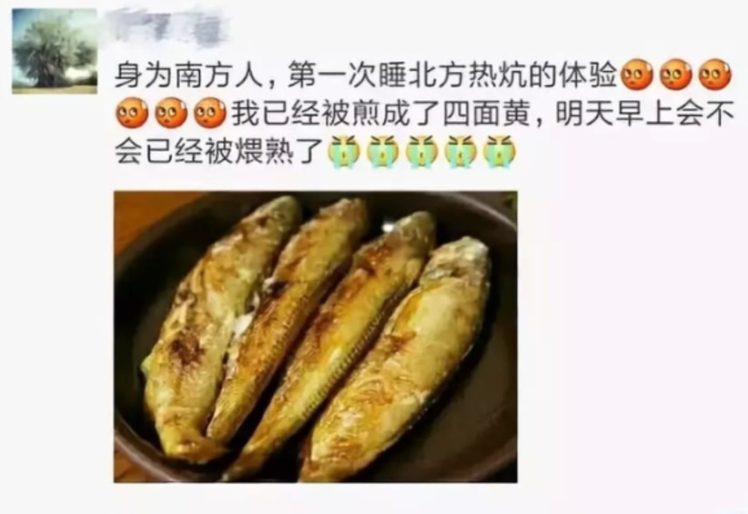 轻松一刻午间版:做鸡很难,但你以为做鸭就容易吗? 轻松一刻午间版:做鸡很难,但你以为做鸭就容易吗?