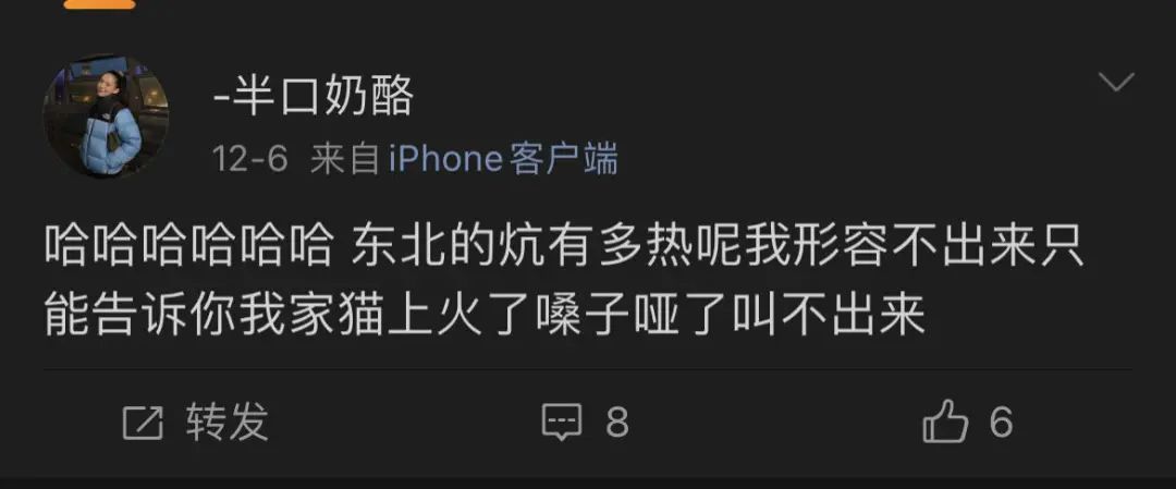 轻松一刻午间版:做鸡很难,但你以为做鸭就容易吗? 轻松一刻午间版:做鸡很难,但你以为做鸭就容易吗?