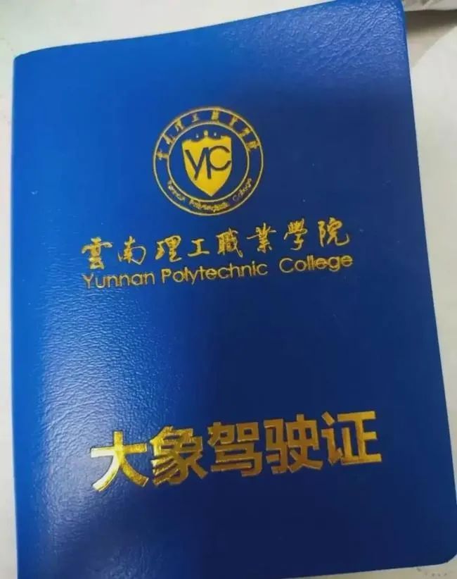 轻松一刻午间版:做鸡很难,但你以为做鸭就容易吗? 轻松一刻午间版:做鸡很难,但你以为做鸭就容易吗?