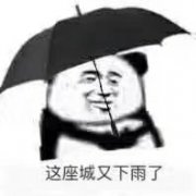 这座城又下雨了(熊猫头打雨伞)