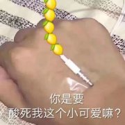 你是要酸死我这个小可爱嘛?