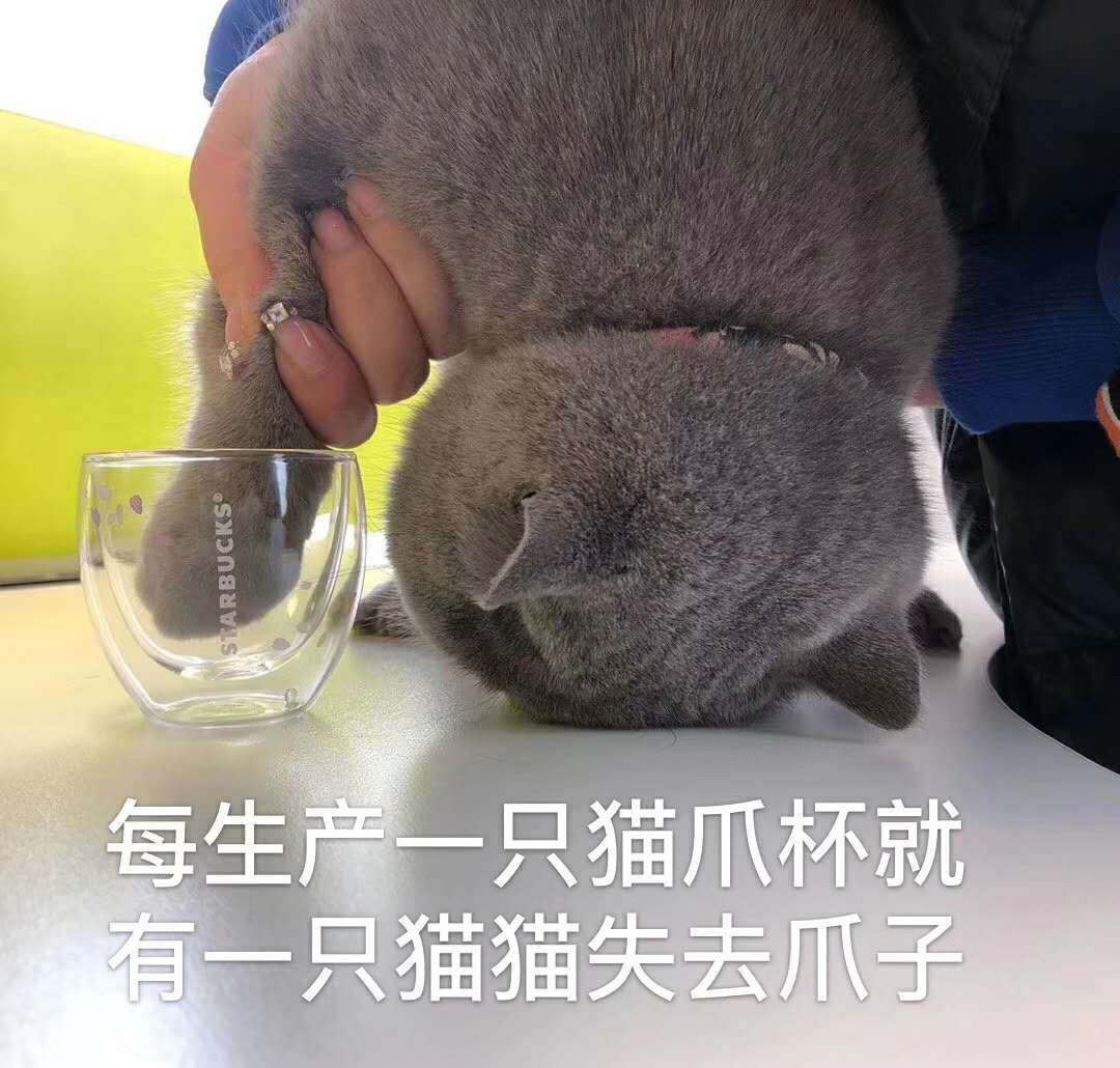 每生产一只猫爪杯就有一只猫猫失去爪子(星巴克猫爪杯)